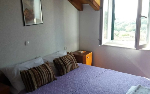 Fishing Family House