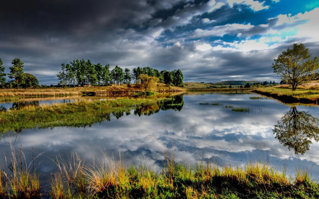 The FarSide Country Manor