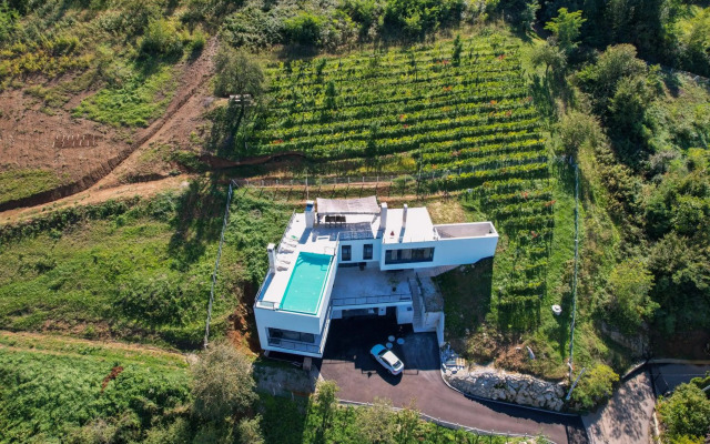 Villa Wineyard - VinoGrad