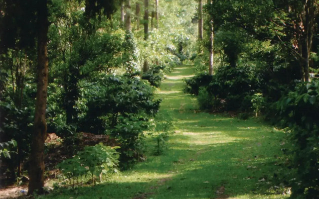 INDeco Lake Forest