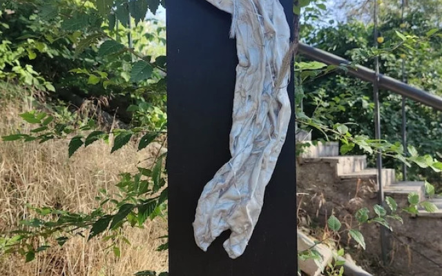 Organic House & Aquapark