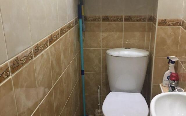 Апартаменты на проспекте Ленина 65