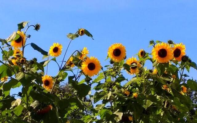 Wohlfühlquartier Louisenlust