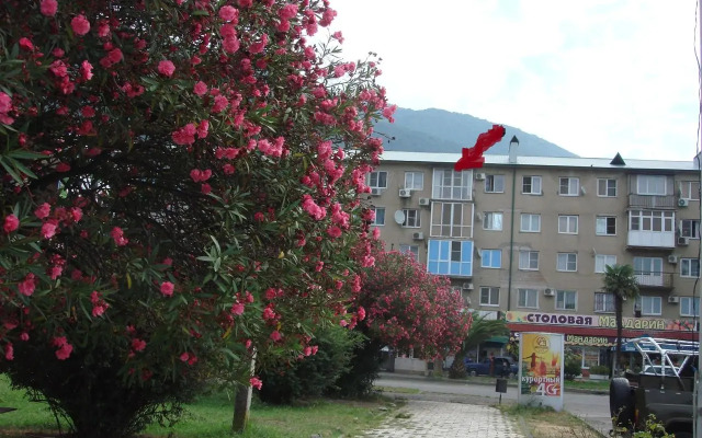 Apartments on Abazgaa street 49/1
