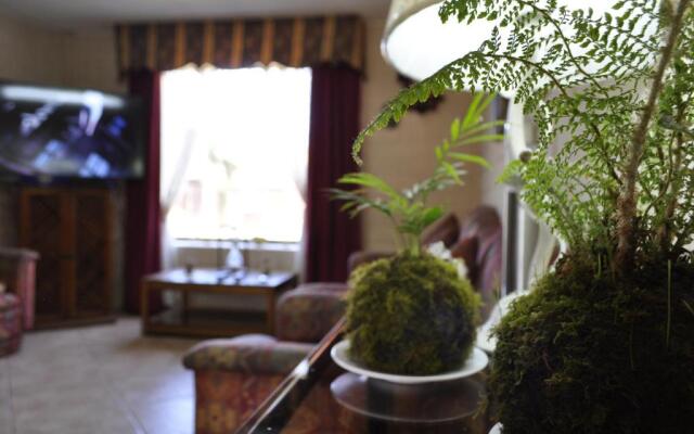 Santa Elena de Maipo Home