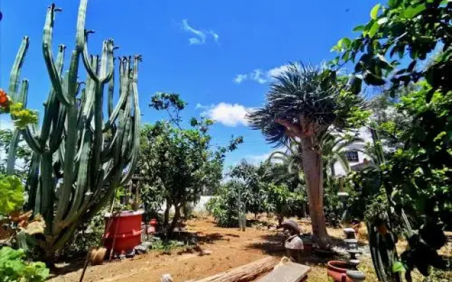 Casa Antonia Guest House