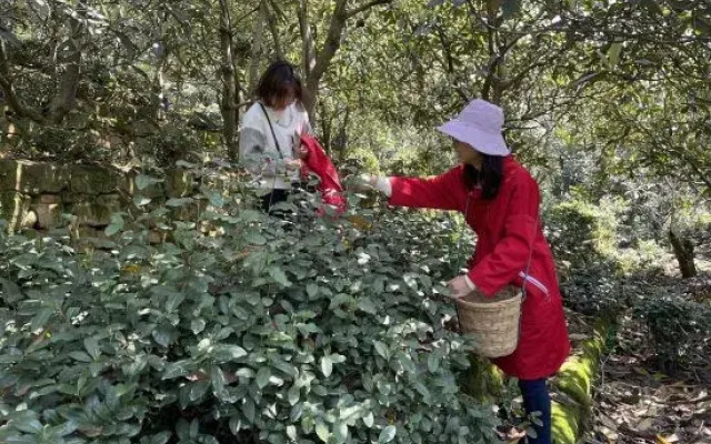 Suzhou Xishan Chengyuan Homestay