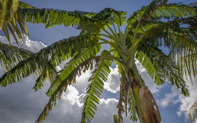 Bamboo Bonaire Boutique Resort