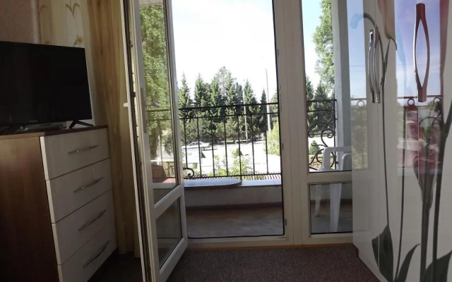 Maze Guest House