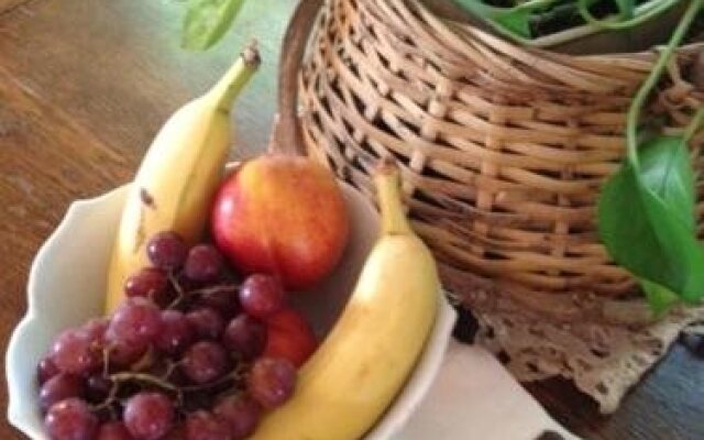 Judys Bed and Breakfast