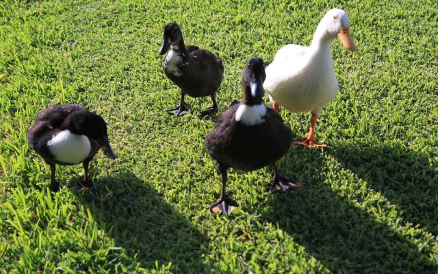 Al Agia - Los Molinos de Padul