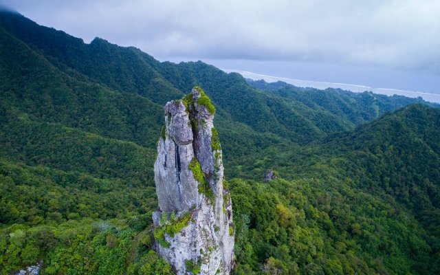 Ikurangi Eco Retreat