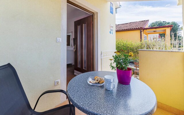 Awesome Apartment in Fazana With Wifi