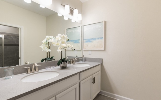 Champions Gate Technicolour Kingdom 1617