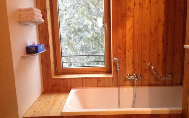 Kulturfrachter Alpenhof