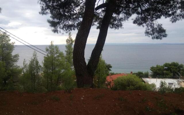 Pefkonas apartments2 100 m from the beach