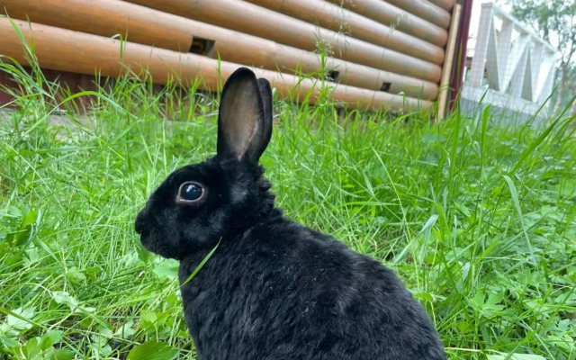 Семейно-туристический загородный клуб Карамелькино