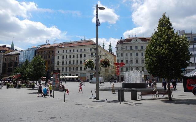 Downtown Apartment Běhounská