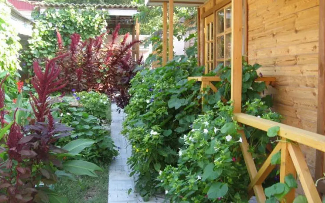 Три Медведя