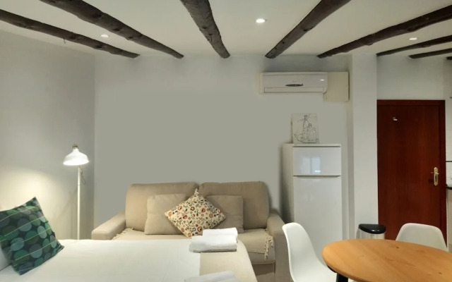 Attic apartment in the historic center