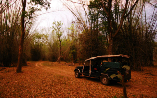 Dubare Elephant Camp