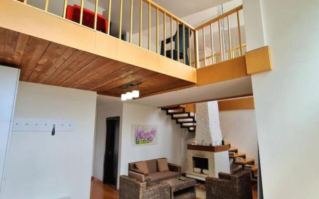 Duplex apartment in the city center