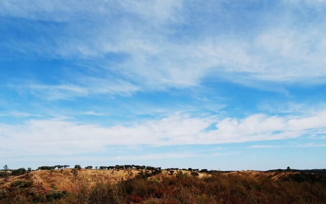 Buddha Peaceful Oasis
