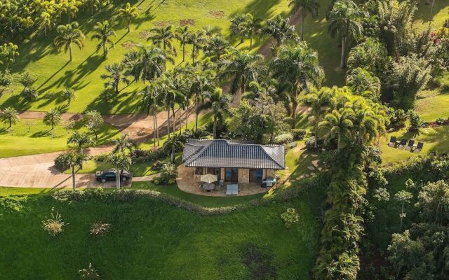 Hale Lani 1 Bedroom Home by RedAwning