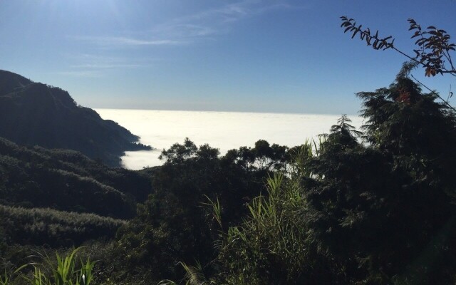 Tea Cloud Guest House