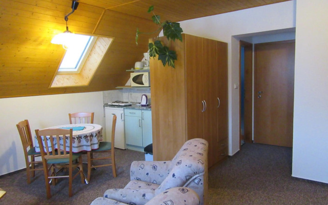 Apartment Dvořáků