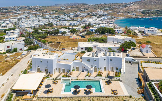 Mykonos Cactus