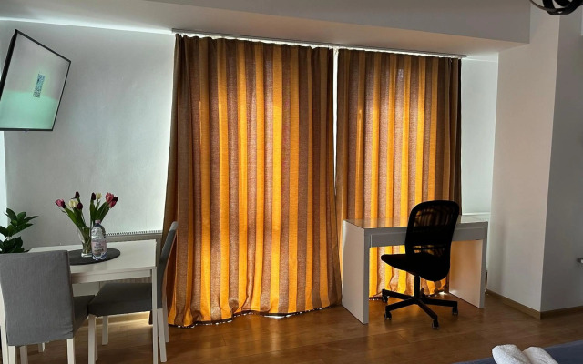 Central Studio Bucur