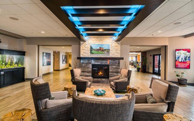 Bear River Casino Resort