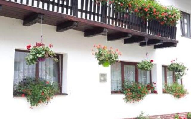 Casa Flavius