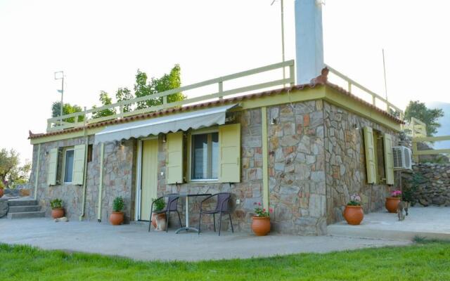 House in 10 acres of grass with horses