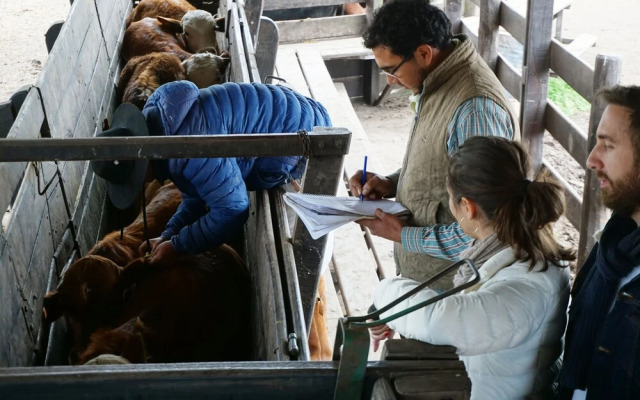 Finca Las Margaritas