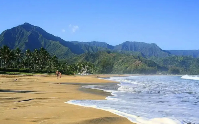 Alii Kai 3103