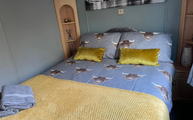 4 Squirrel View