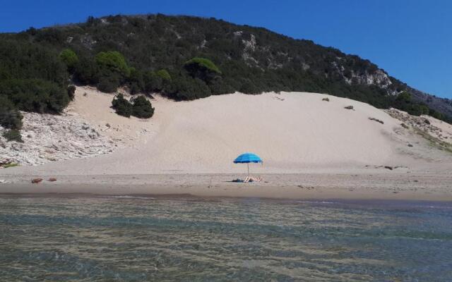 Villa Dunes 350m from the sandy beach