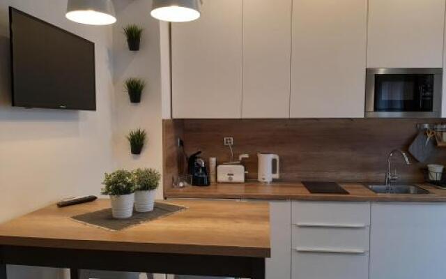 Center Arena Design Apartments with terrace