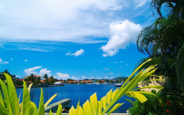 The Harbour
