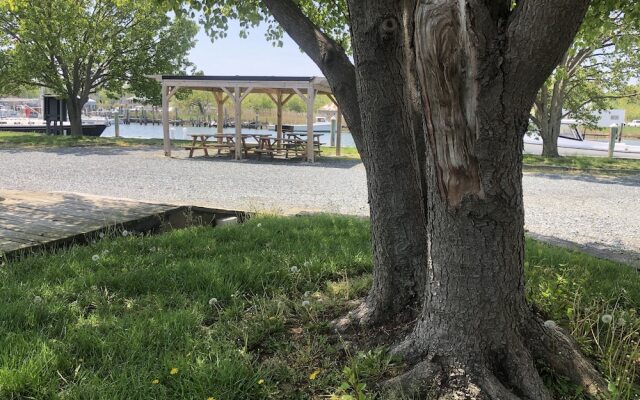 Knapps Narrows Marina & Inn