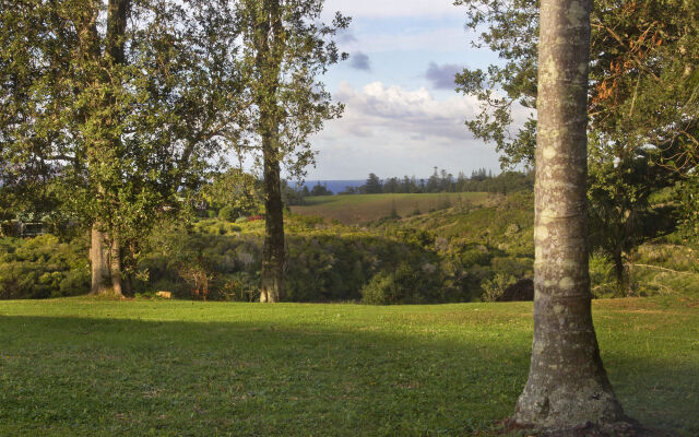 Castaway Norfolk Island