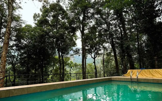 Skyfall Adventures Forest Pool Resort