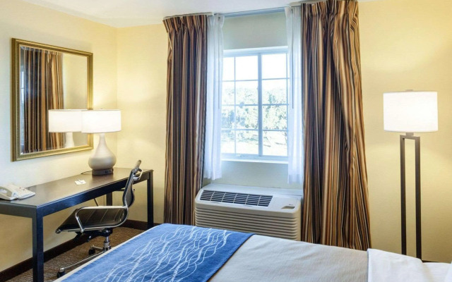 Comfort Inn & Suites Texas Hill Country