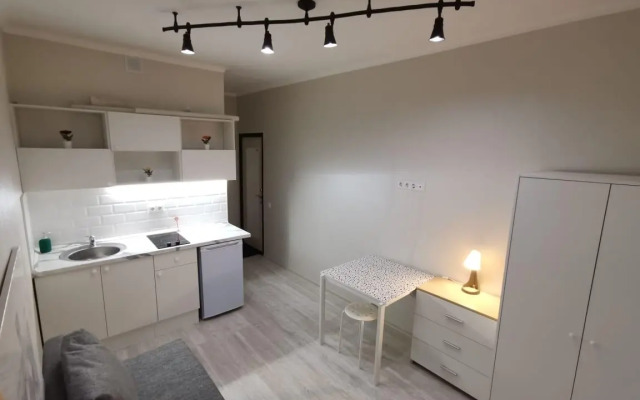 In an apartment on Zarechnaya Street