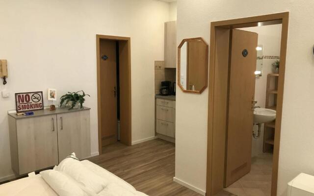 Sport-Alpin-Wohnung-5