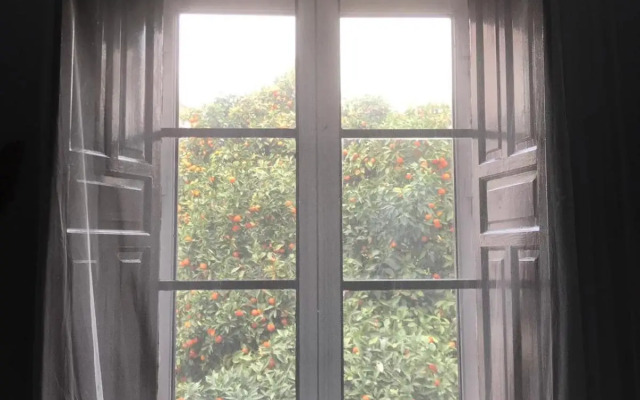 Apartamento Plaza de Doña Elvira 8