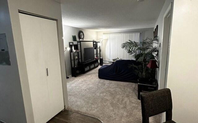 Serene Spring Retreat