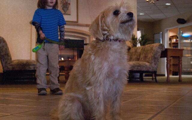 Best Western Plus Caldwell Inn & Suites